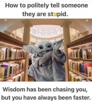 FB_IMG_1681390364023.jpg