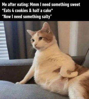 FB_IMG_1681876411873.jpg