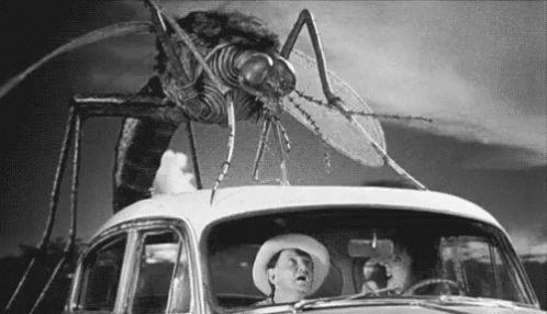 Mosquito.gif