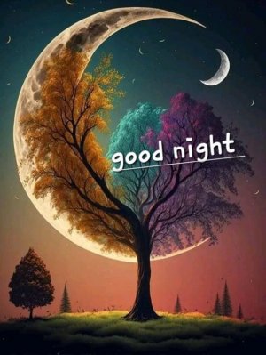 4bed8338fd540c75a1ea1ddc12b886d8[1].jpg