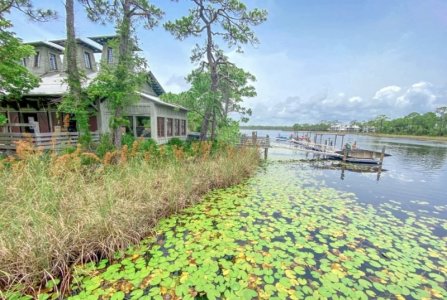 367FC4A2-BE00-41ED-B03A-DE562955642C.jpeg 367FC4A2-BE00-41ED-B03A-DE562955642C.jpeg