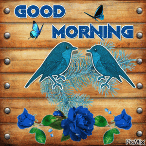 d97ff051c2dfb53b378f0ac985431b63[1].gif