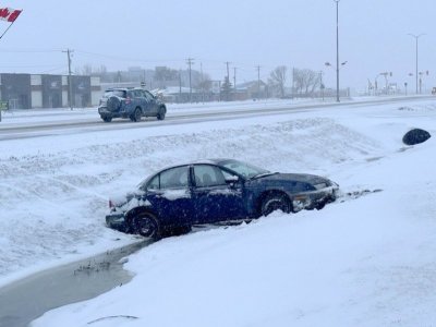 idiot Driver.jpg