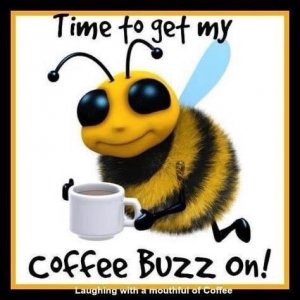 IMG_2383.jpeg