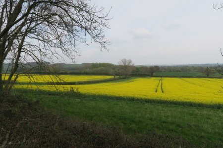IMG_0075.JPG