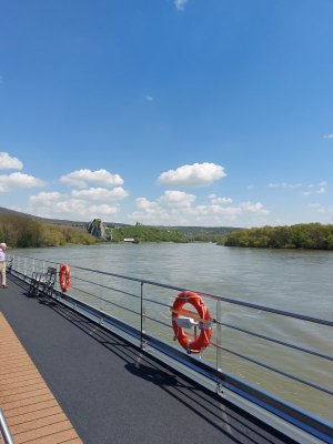 20230422_135133.jpg