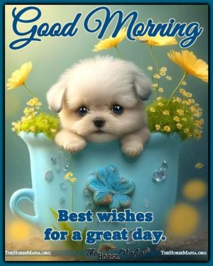 f6e824ac1318a5c4cd40a36fe83b7740[1].jpg