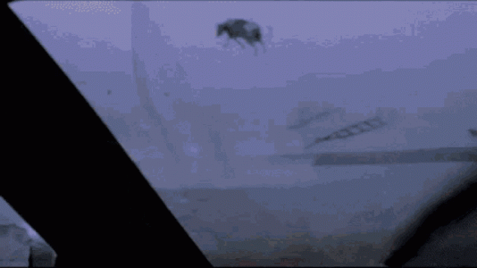 cow.gif