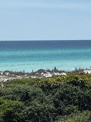 737990CD-4846-4B7E-B623-8B727B075758.jpeg 737990CD-4846-4B7E-B623-8B727B075758.jpeg