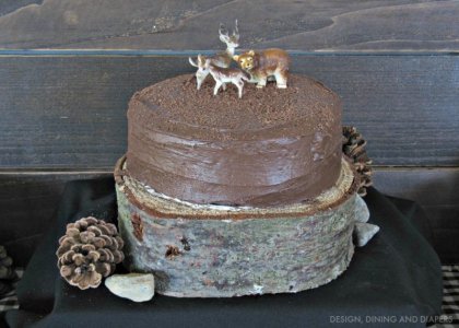 Woodsy-Themed-Birthday-Cake-1416063449.jpg