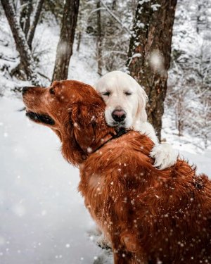 tumblr_3c9390251e5cc044da6db7c2e22603ea_9f510b2f_640.jpg
