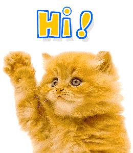 a0b43ebfd4fb7d481860b7bd4810b81c[1].gif