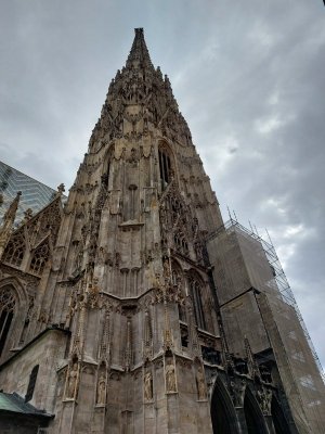 20230425_113349.jpg