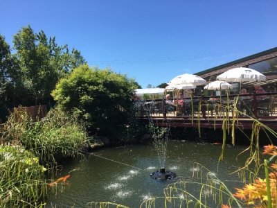 IMG_7298.jpeg