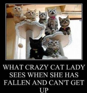 azycatladyfallenandcannotgetup-vi.jpg