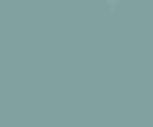 duck egg blue.jpg