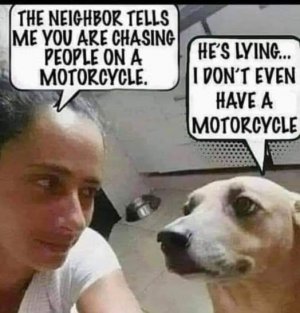 FB_IMG_1682390580778.jpg