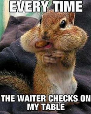 37-Food-Memes-31-720x900-3321545578.jpg