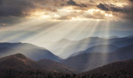 shutterstock-137349635.jpg
