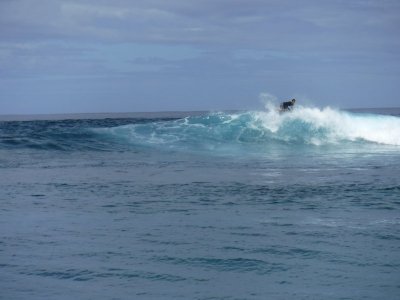 DSCF0069.JPG