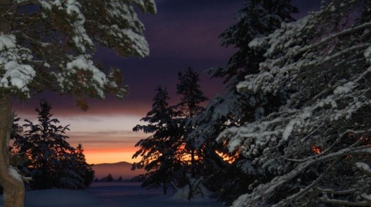 adpvc9m.jpg adpvc9m.jpg