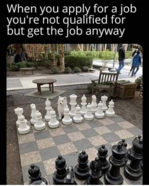 IMG_2459.jpeg