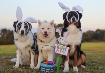 happyeaster.jpg