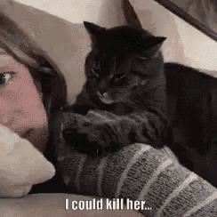 cat-kitty.gif