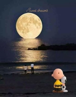 snoopy.jpeg