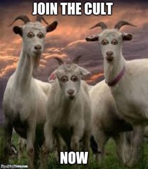 join the cow-tongue cult.jpeg