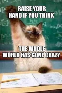 crazy world.jpg