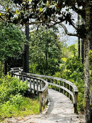 37E5711E-07C6-457D-8FB1-77D342D042FC.jpeg 37E5711E-07C6-457D-8FB1-77D342D042FC.jpeg