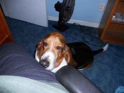 Picture 006.jpg