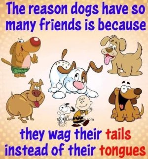 E95E2338-ED12-4FF2-BFF4-13EA26A0A58E.jpeg