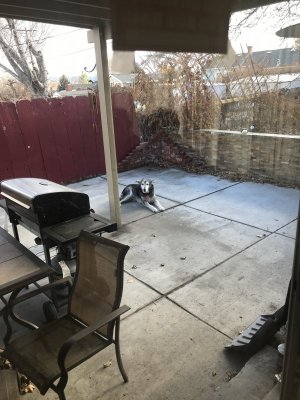 IMG_0607.jpeg