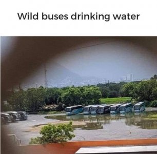 IMG_2256.jpeg