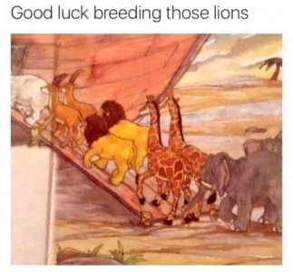 uQ0Nq6Z.jpeg