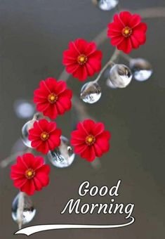 7a8bdbbb0d3fad23a585bc6c2ef25cef.jpg