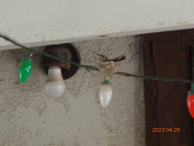 DSC00754.JPG