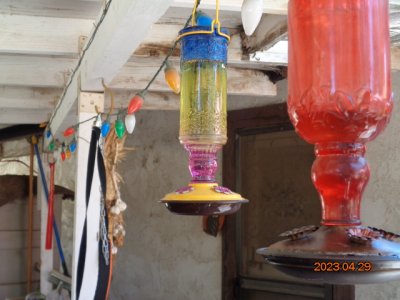 DSC00757.JPG