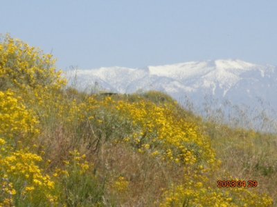 DSC00733.JPG