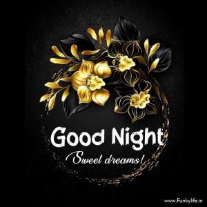 good-night-image-9.jpg