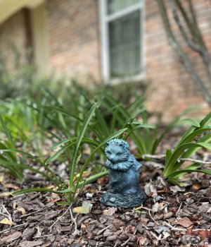 IMG_0416.jpeg