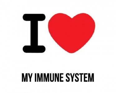 immune sys meme.jpg