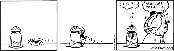 spider.gif