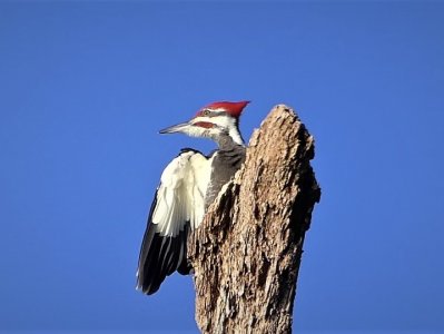 E5320C04-BB1F-4249-B10C-DC464037CF91.jpeg