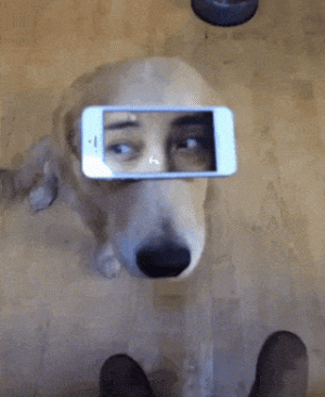 a3b9c6e089d37da262907b7776849925.gif