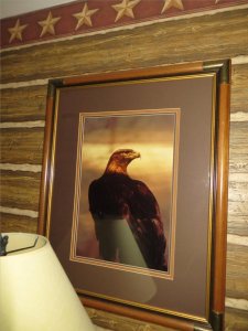 IMG_2754.jpg