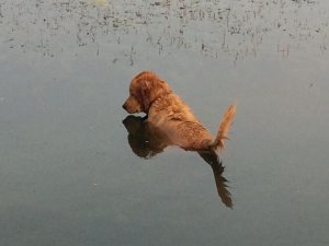 IMG_1104.jpg