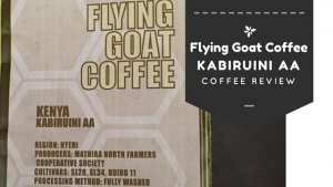 goat.jpg